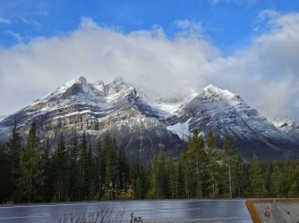 20231017_101710.jpg 20231017_101710.jpg