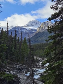 20231017_105241.jpg 20231017_105241.jpg