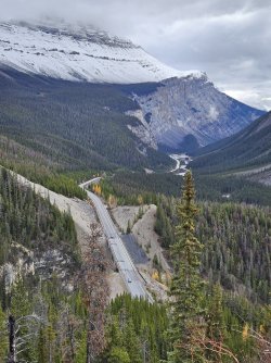 20231017_121925.jpg 20231017_121925.jpg