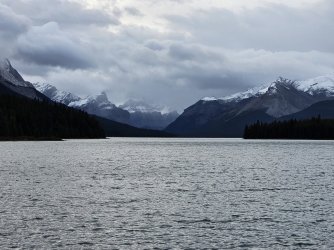 20231018_090831.jpg 20231018_090831.jpg