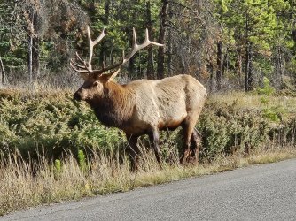 20231018_112748.jpg 20231018_112748.jpg