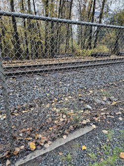 20231019_084244.jpg 20231019_084244.jpg