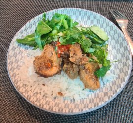 20231215_183651.jpg 20231215_183651.jpg