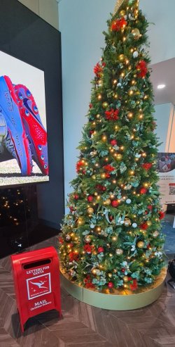 20231215_185126.jpg 20231215_185126.jpg