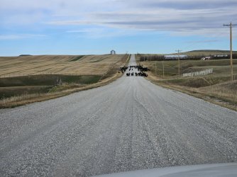 20231020_112741.jpg 20231020_112741.jpg