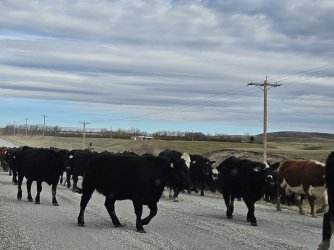 20231020_112949.jpg 20231020_112949.jpg