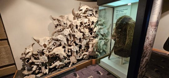 20231020_125140.jpg 20231020_125140.jpg