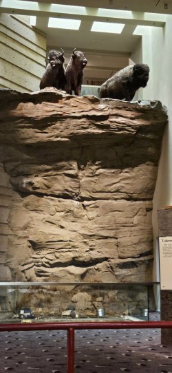 20231020_130901.jpg 20231020_130901.jpg