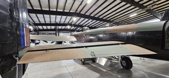 20231021_131701.jpg 20231021_131701.jpg