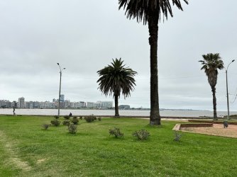 IMG_6557.jpeg IMG_6557.jpeg