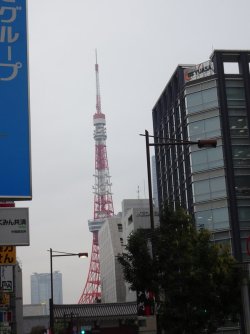 DSC09125.JPG DSC09125.JPG