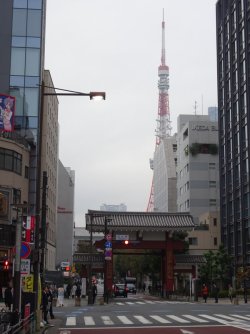 DSC09126.JPG DSC09126.JPG