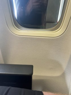 IMG_6899.jpeg IMG_6899.jpeg