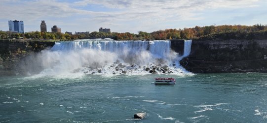 20231024_120317.jpg 20231024_120317.jpg