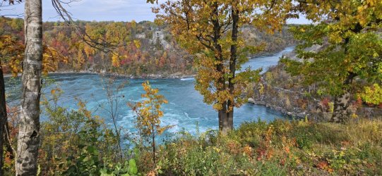 20231024_142318.jpg 20231024_142318.jpg