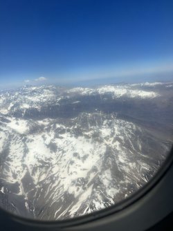 IMG_6596.jpeg IMG_6596.jpeg