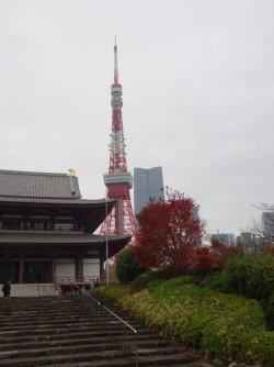 DSC09149.JPG DSC09149.JPG