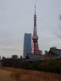 DSC09185.JPG DSC09185.JPG