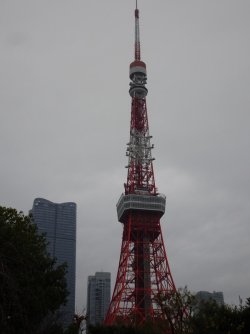 DSC09187.JPG DSC09187.JPG