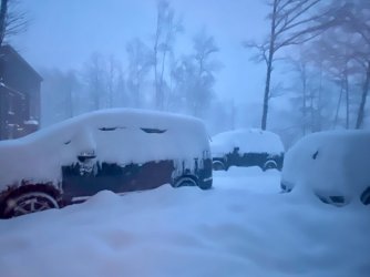 IMG_2446.jpeg IMG_2446.jpeg