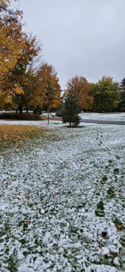 20231030_101329.jpg 20231030_101329.jpg