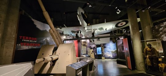 20231101_113659.jpg 20231101_113659.jpg