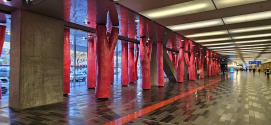 20231102_155329.jpg 20231102_155329.jpg