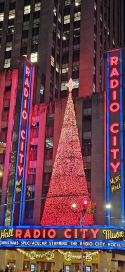 20231103_200443.jpg 20231103_200443.jpg