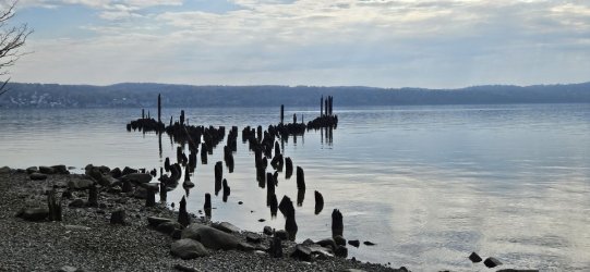 20231105_093857.jpg 20231105_093857.jpg