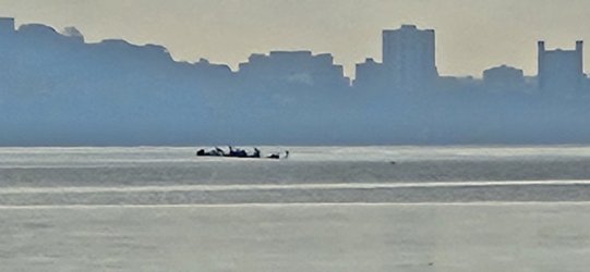 20231105_095320.jpg 20231105_095320.jpg