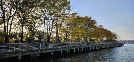 20231105_152252.jpg 20231105_152252.jpg