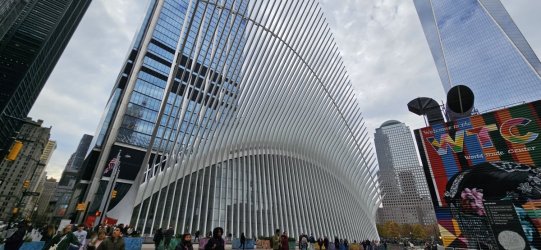 20231106_131731.jpg 20231106_131731.jpg