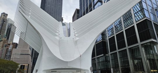 20231106_131939.jpg 20231106_131939.jpg