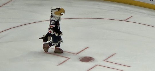 20231108_211329.jpg 20231108_211329.jpg