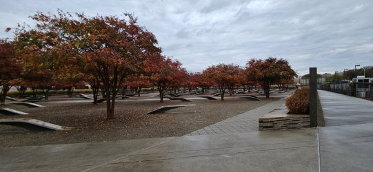 20231110_110644.jpg 20231110_110644.jpg