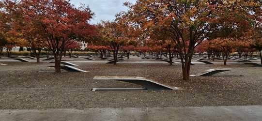 20231110_110807.jpg 20231110_110807.jpg