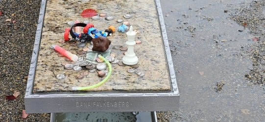 20231110_111503.jpg 20231110_111503.jpg