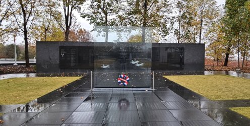 20231110_115025.jpg 20231110_115025.jpg