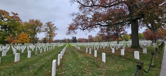 20231110_125410.jpg 20231110_125410.jpg