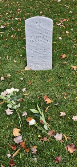 20231110_131533.jpg 20231110_131533.jpg