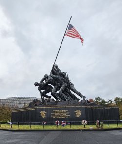 20231110_150856.jpg 20231110_150856.jpg