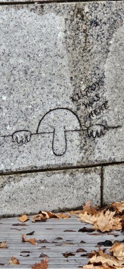 20231110_161601.jpg 20231110_161601.jpg