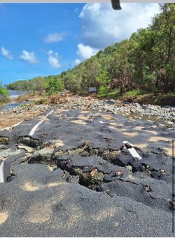 IMG_3328.jpeg IMG_3328.jpeg