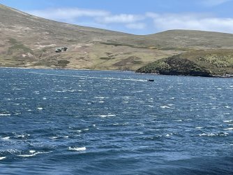 IMG_3664.jpeg IMG_3664.jpeg