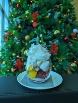 PXL_20231222_044842021.jpg PXL_20231222_044842021.jpg