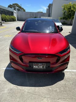 IMG_4445.jpeg IMG_4445.jpeg