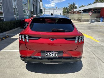 IMG_4447.jpeg IMG_4447.jpeg