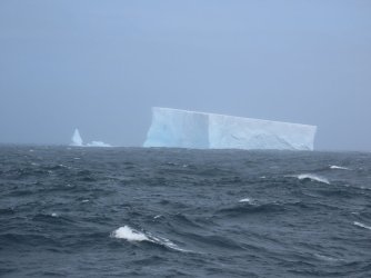 IMG_3105.JPG IMG_3105.JPG