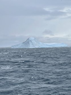 IMG_3731.jpeg IMG_3731.jpeg