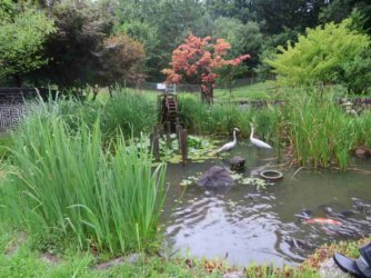 jpeg-optimizer_IMG_0187(3).JPG jpeg-optimizer_IMG_0187(3).JPG